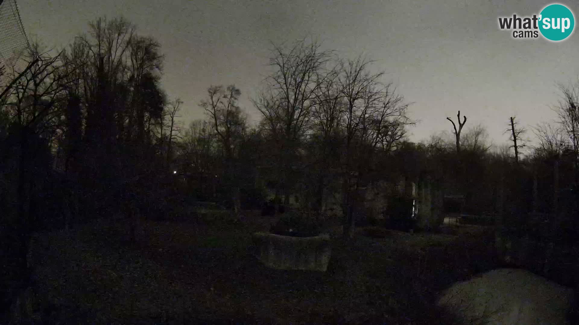 Zoo Zagreb – Leones