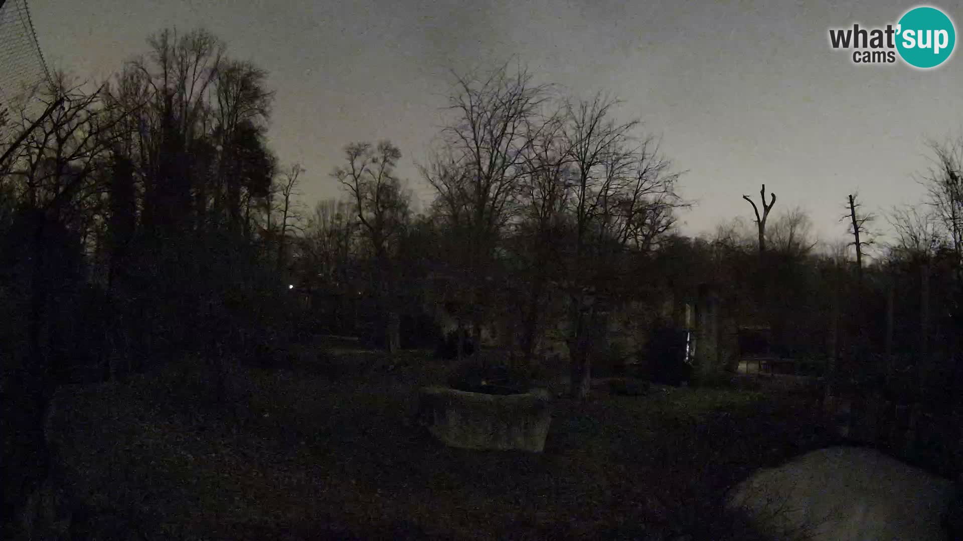 Zoo Zagreb – Leones