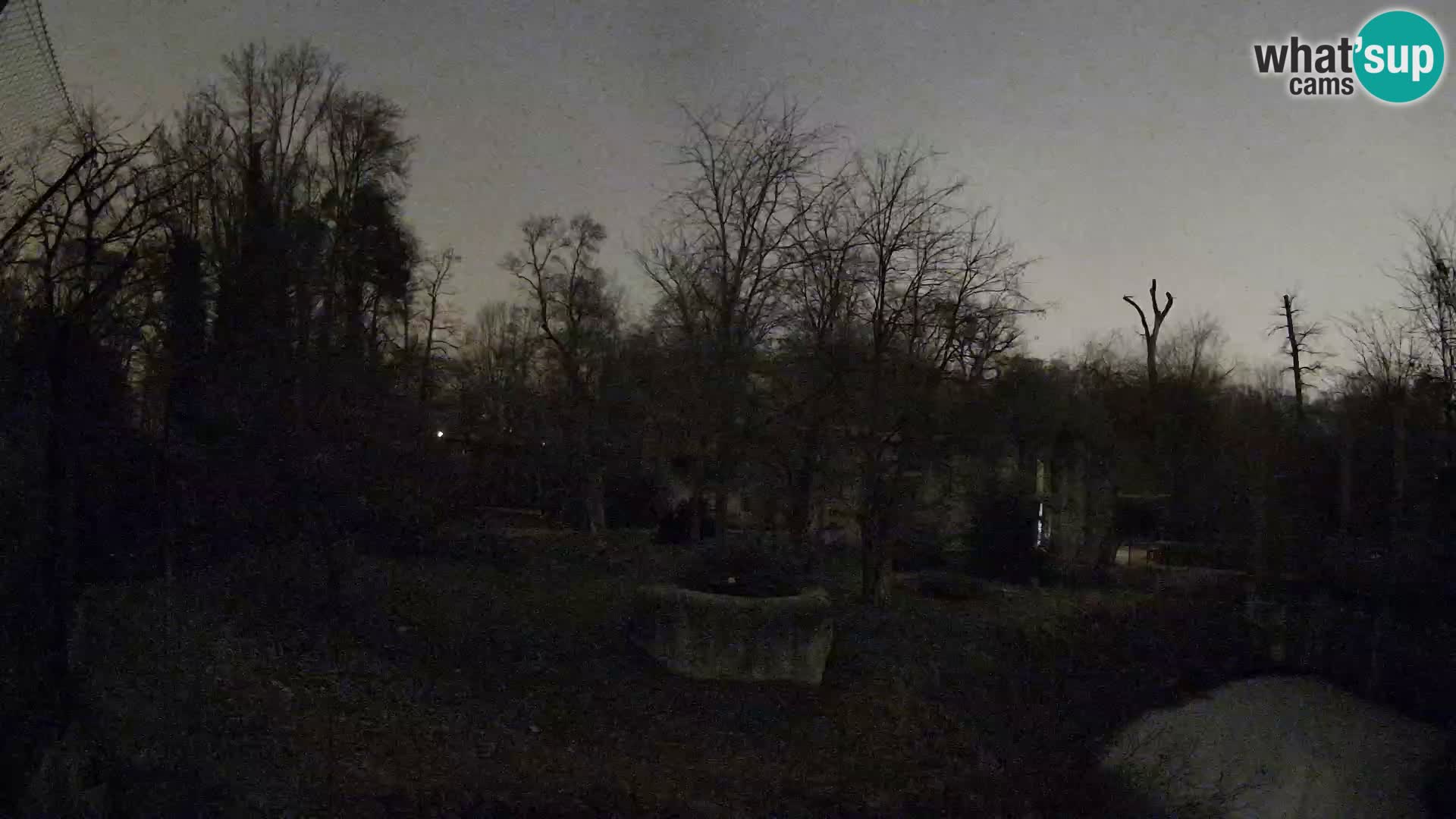 Spletna kamera Zoo Zagreb – Levi