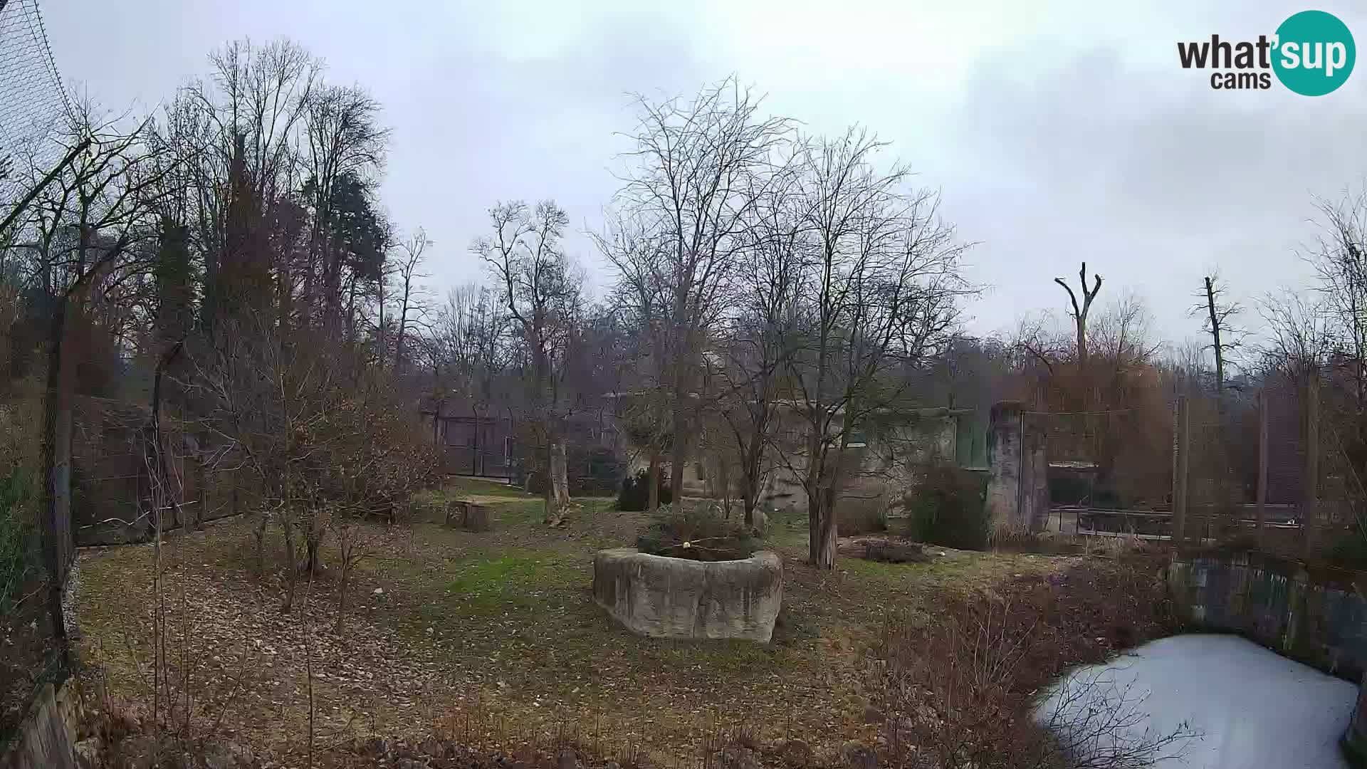 Zoo Zagreb – Leoni