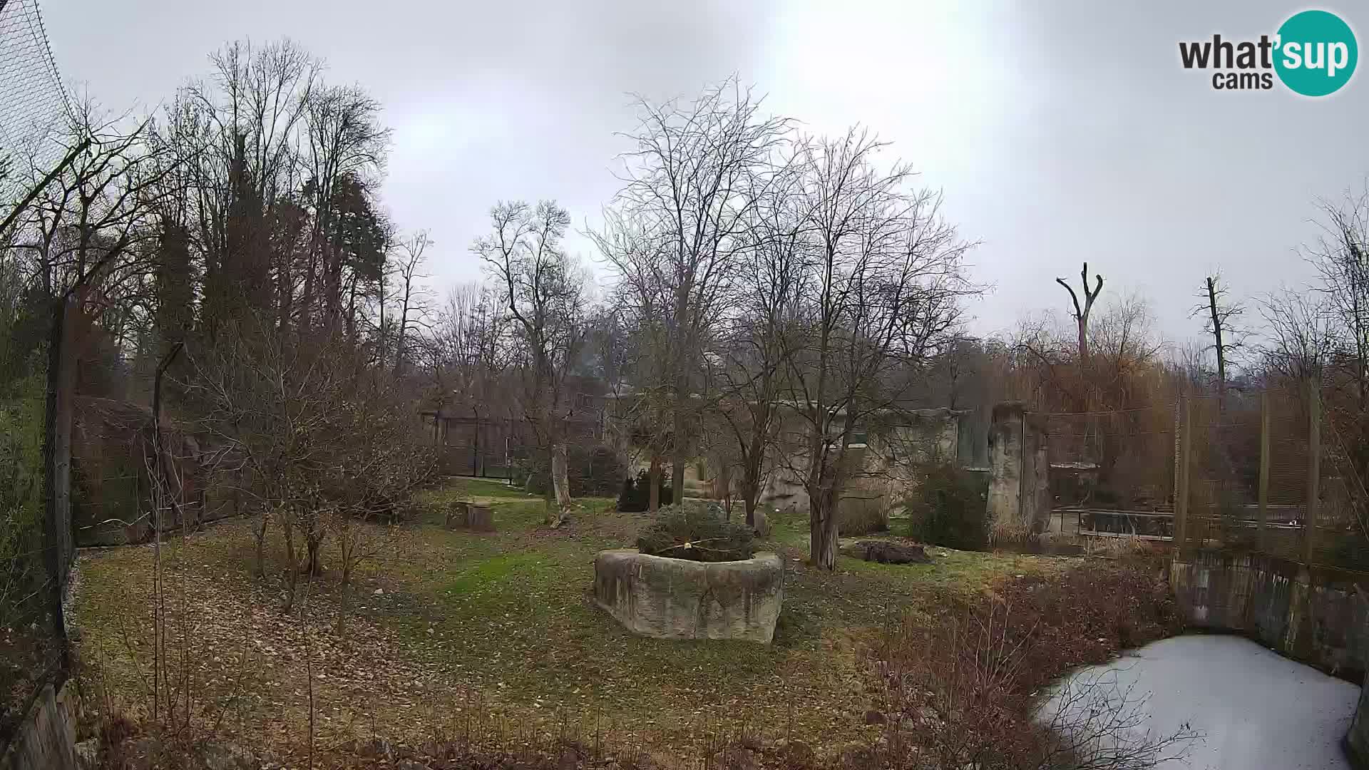 Spletna kamera Zoo Zagreb – Levi