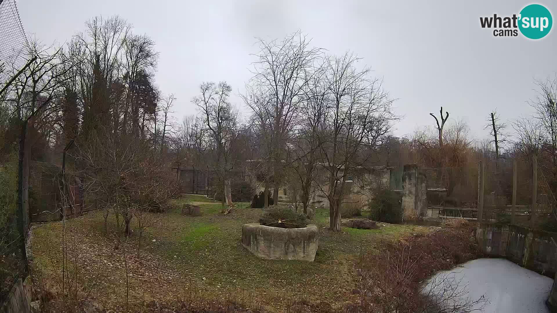 Zoo Zagreb – Löwen