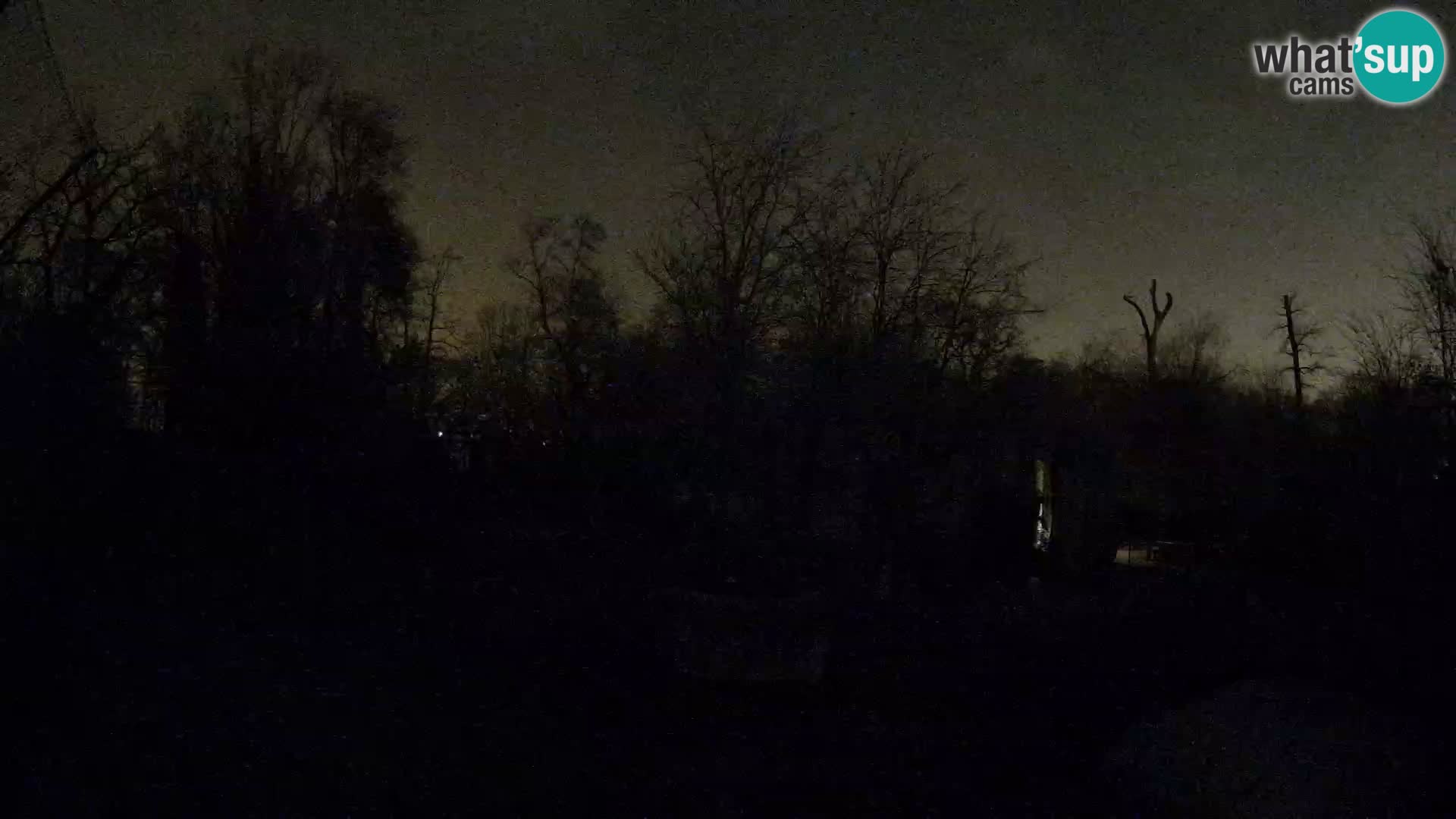 Spletna kamera Zoo Zagreb – Levi