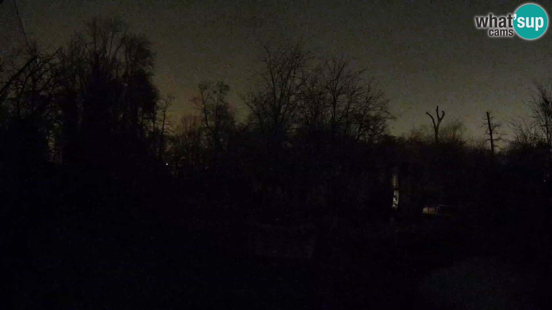 Spletna kamera Zoo Zagreb – Levi