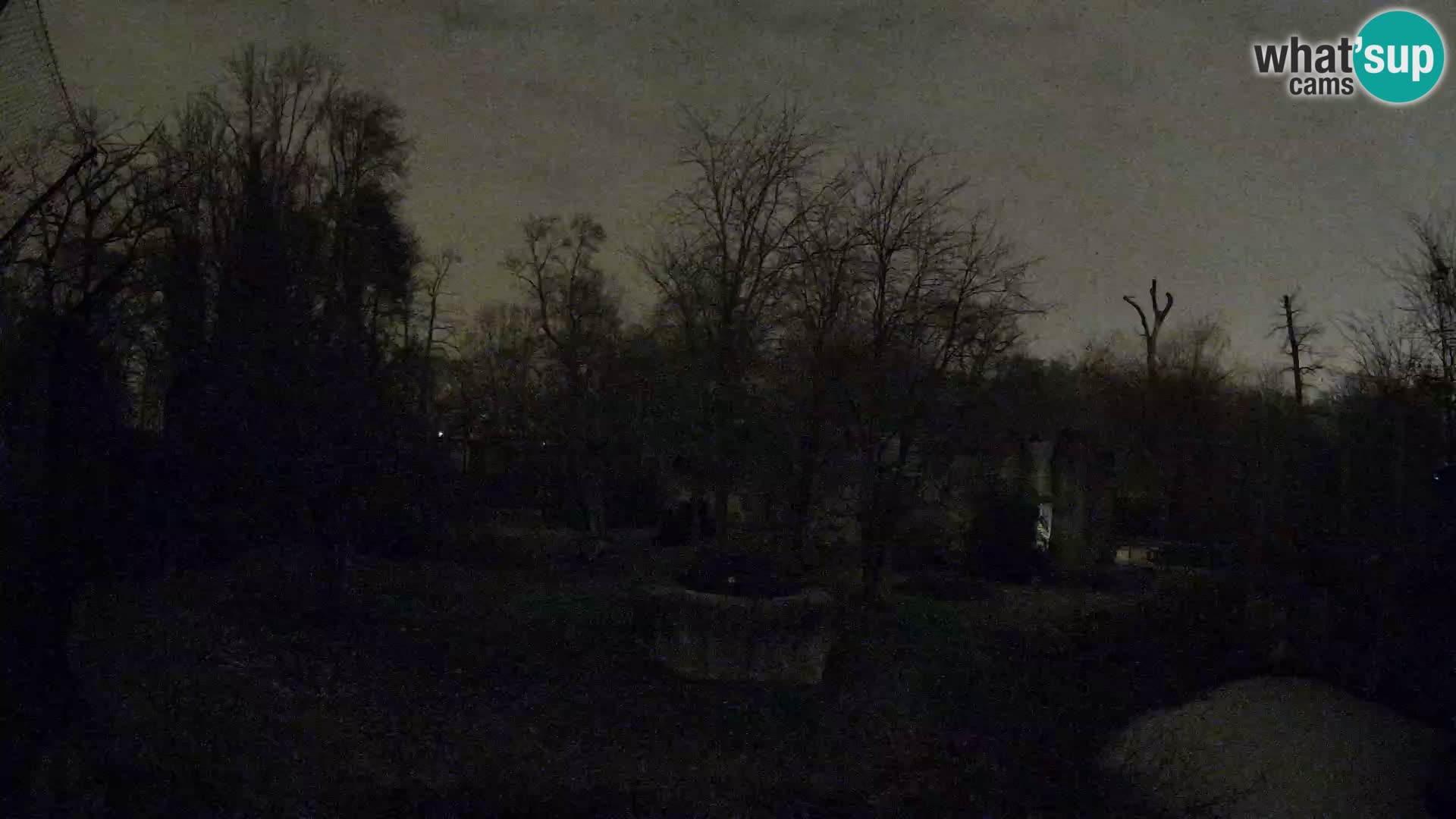 Zoo Zagreb – Löwen