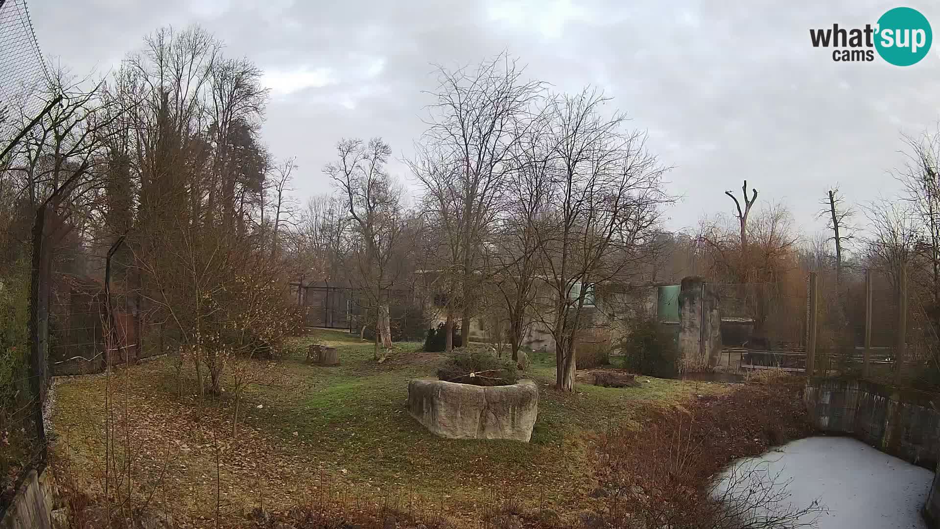 Zoo Zagreb – Lavovi