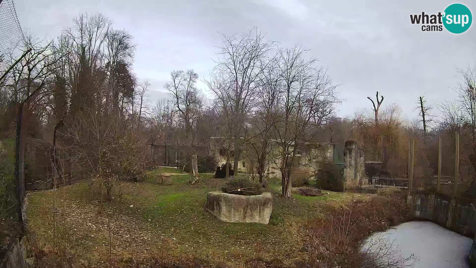 Zoo Zagreb – Lavovi