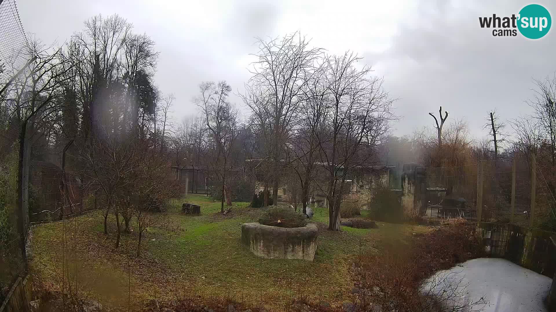 Spletna kamera Zoo Zagreb – Levi