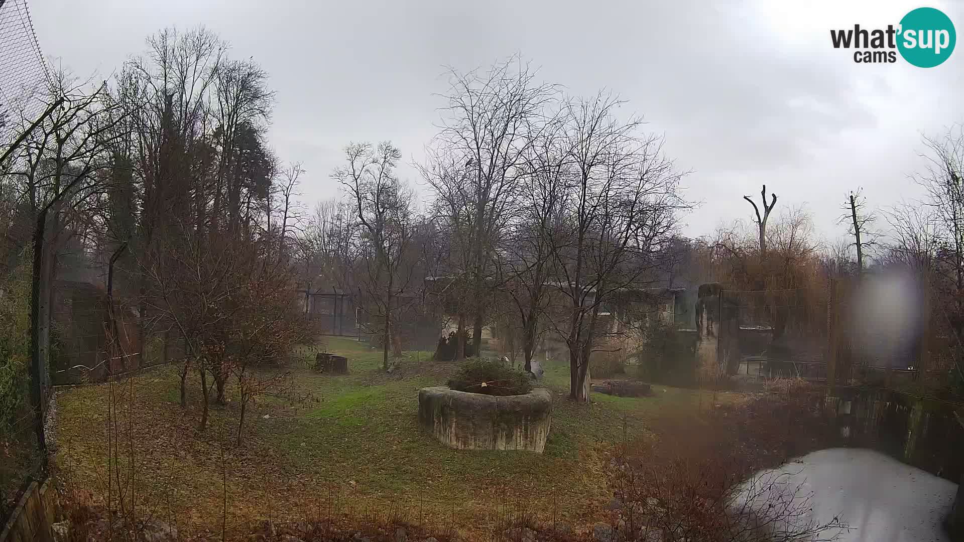 Zoo Zagreb – Leones