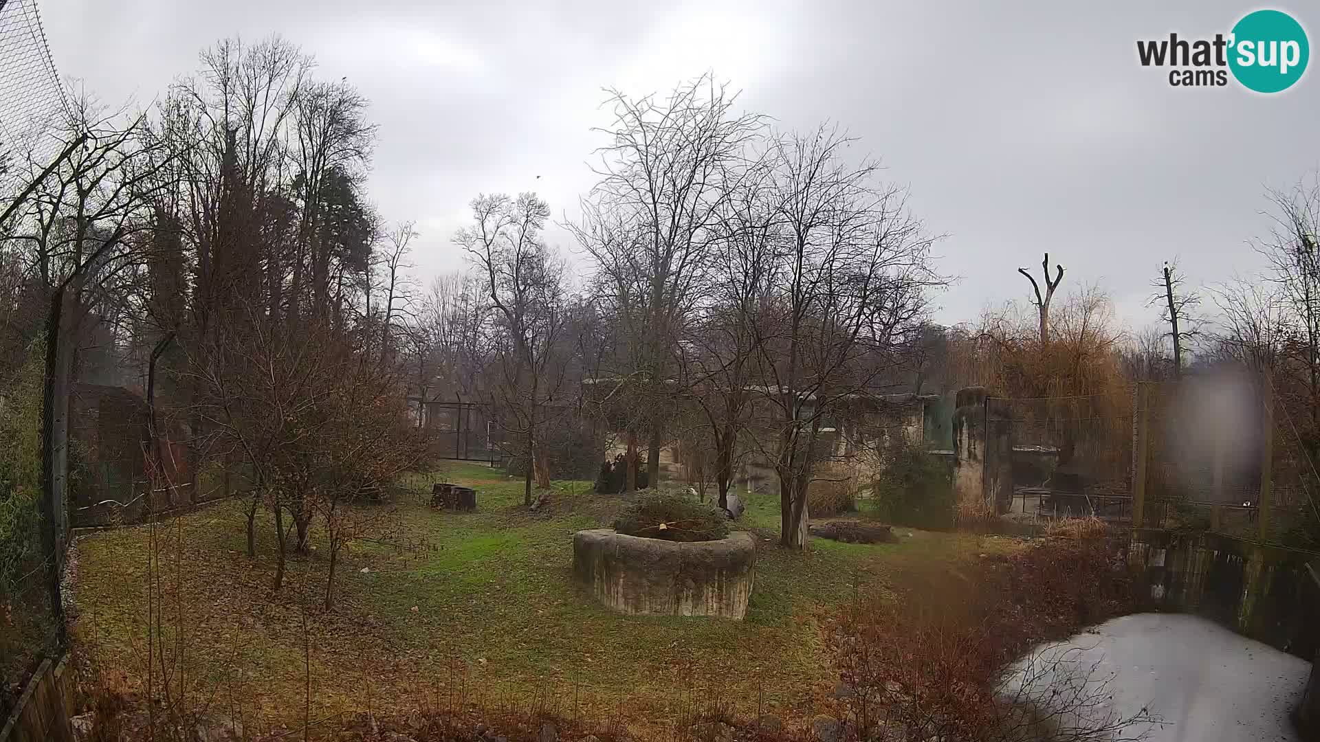 Zoo Zagreb – Leones