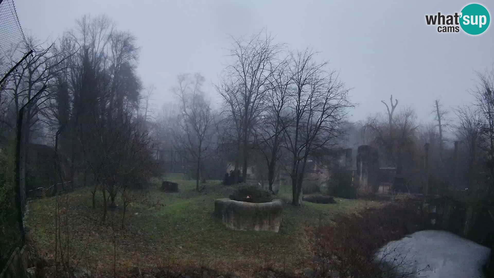 Spletna kamera Zoo Zagreb – Levi