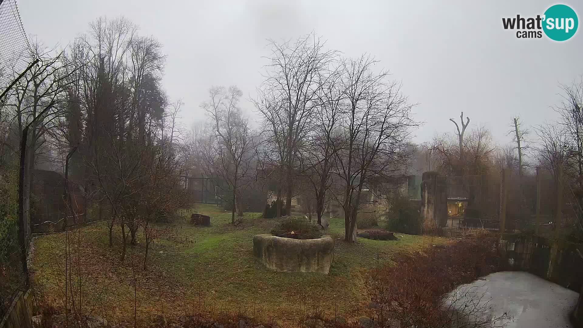 Zoo Zagreb – Leoni