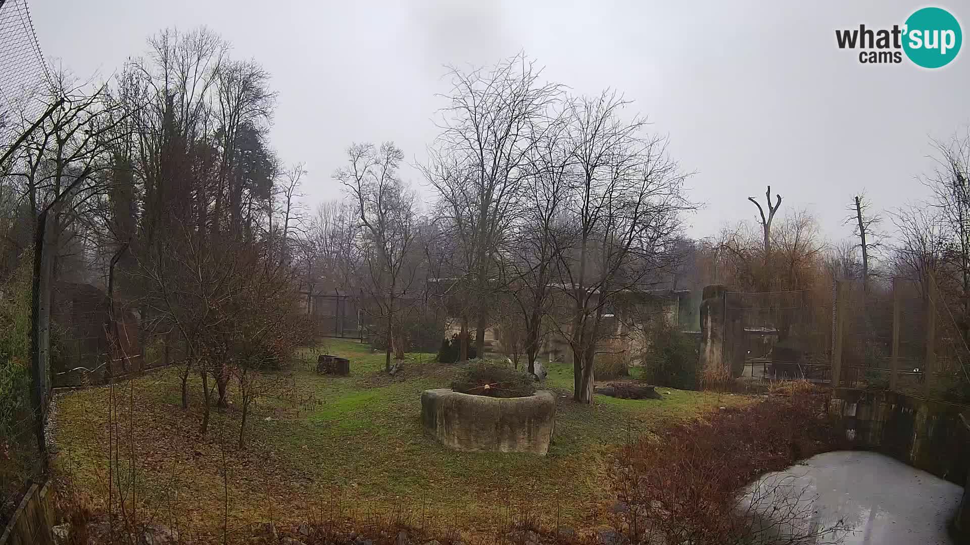 Zoo Zagreb – Leoni