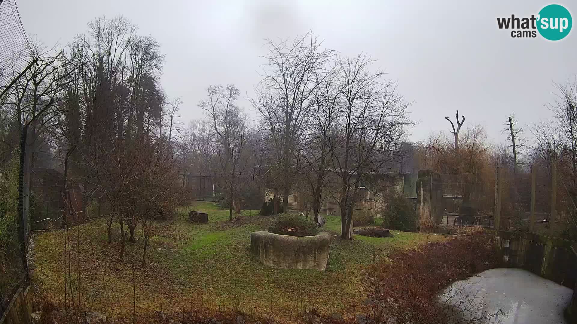 Zoo Zagreb – Leoni