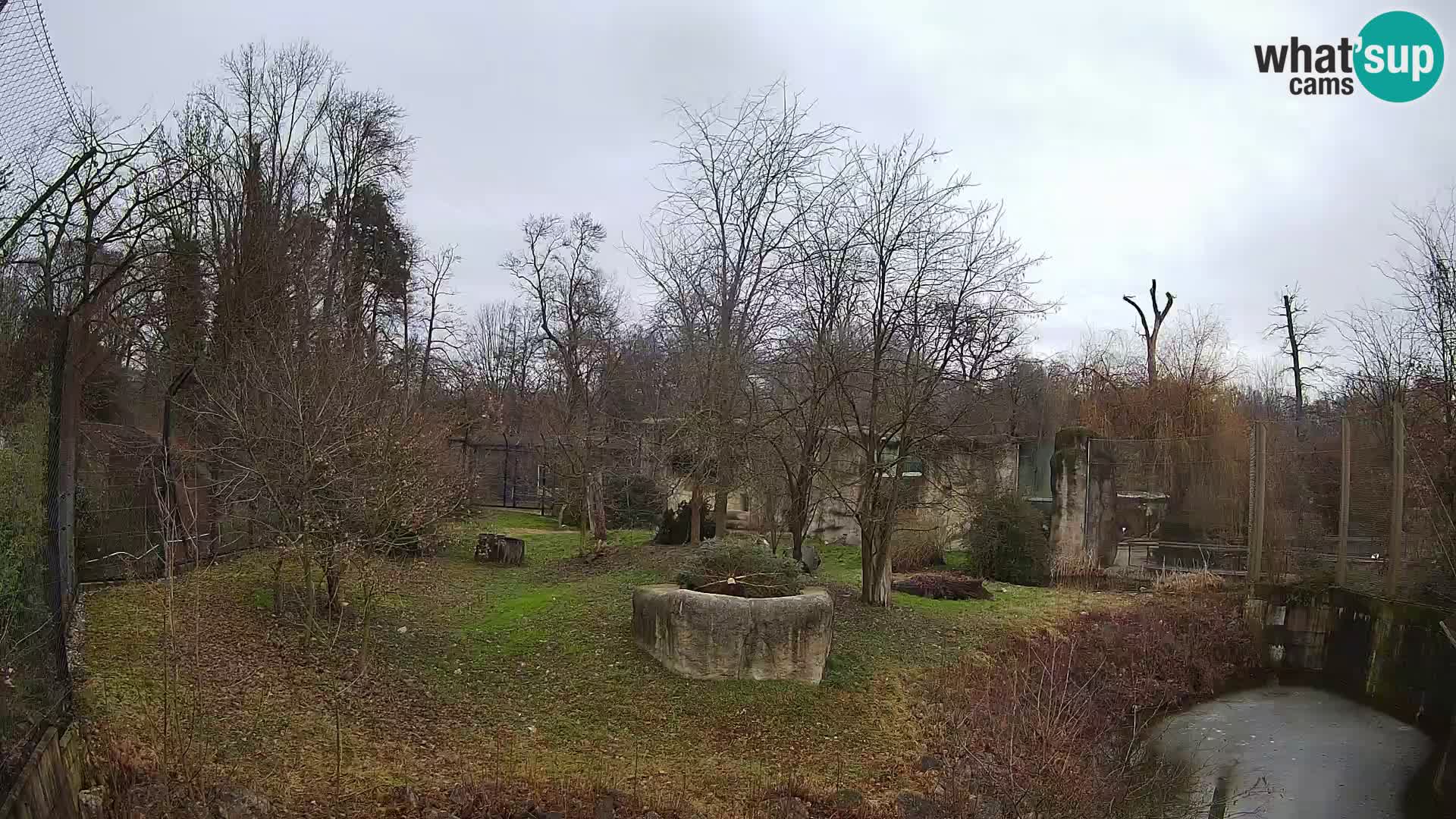 Spletna kamera Zoo Zagreb – Levi