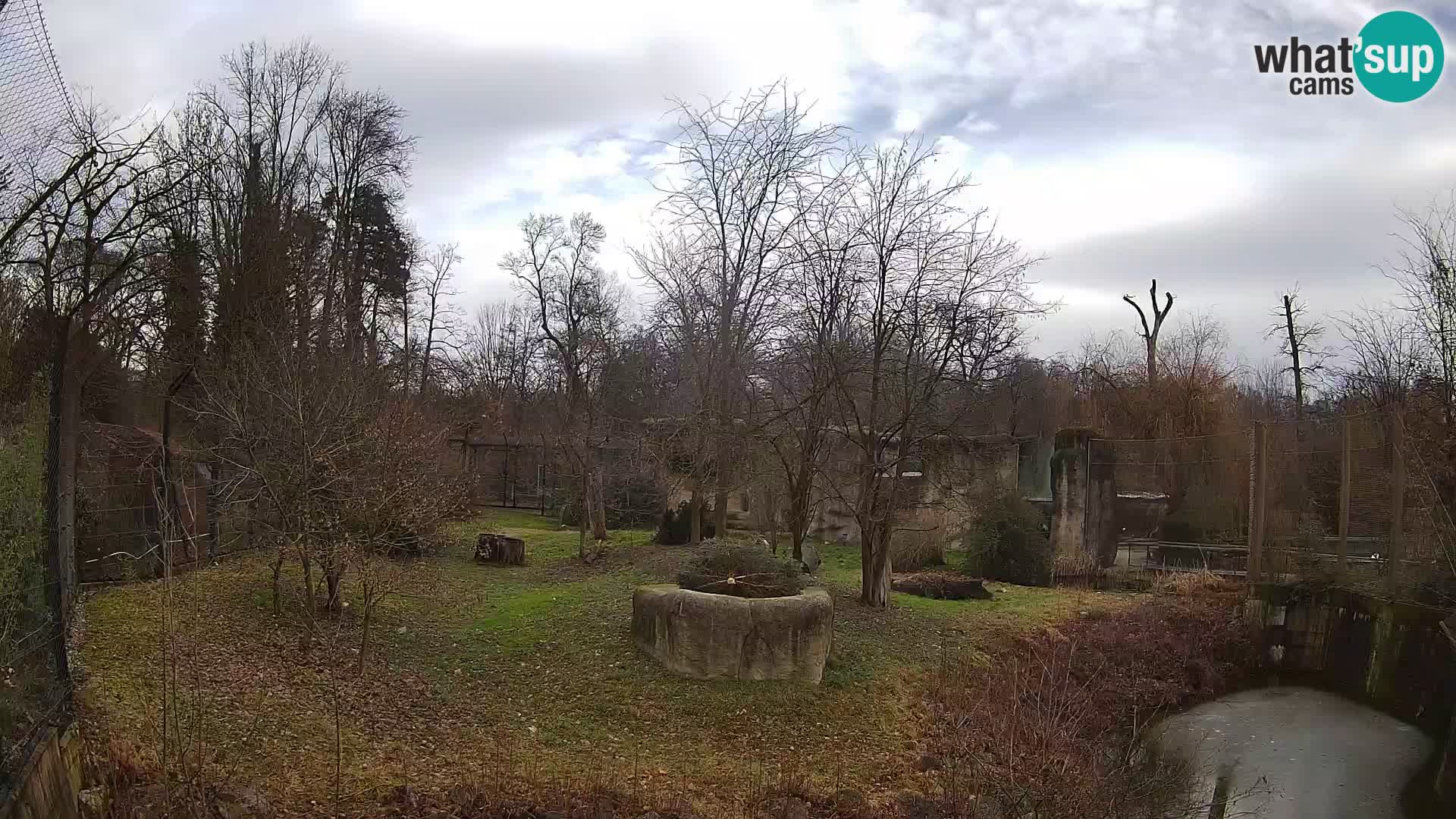 Zoo Zagreb – Löwen