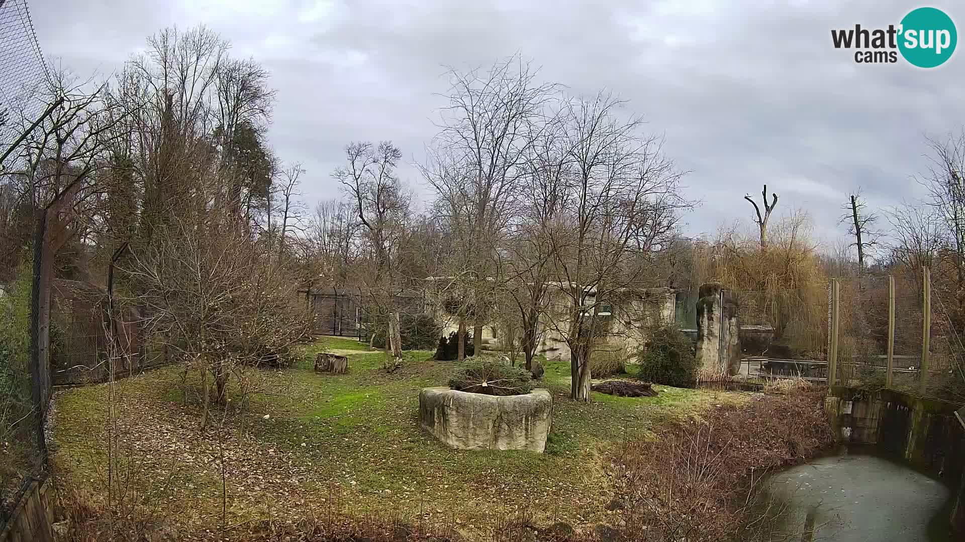 Spletna kamera Zoo Zagreb – Levi