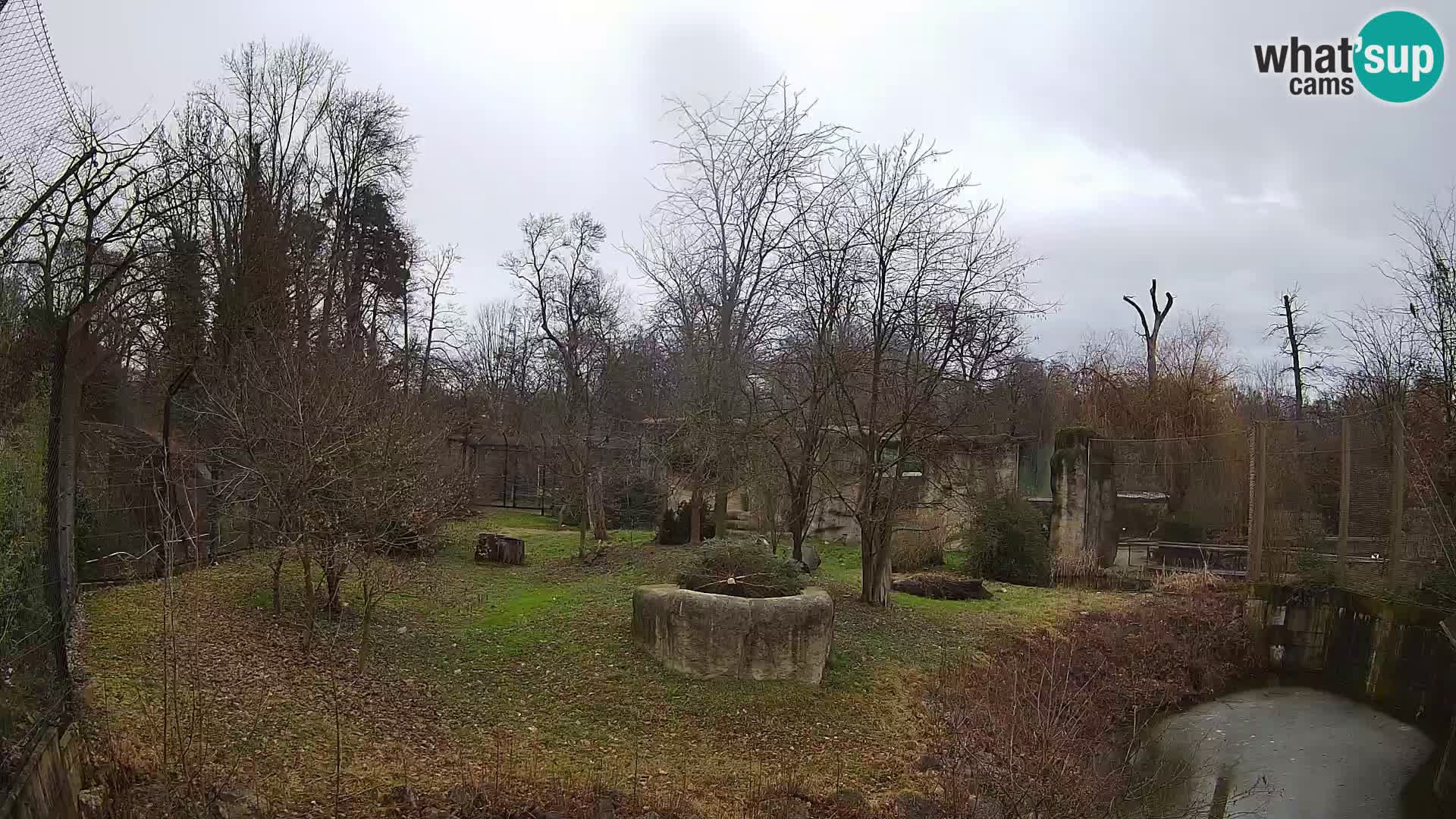 Zoo Zagreb – Leoni