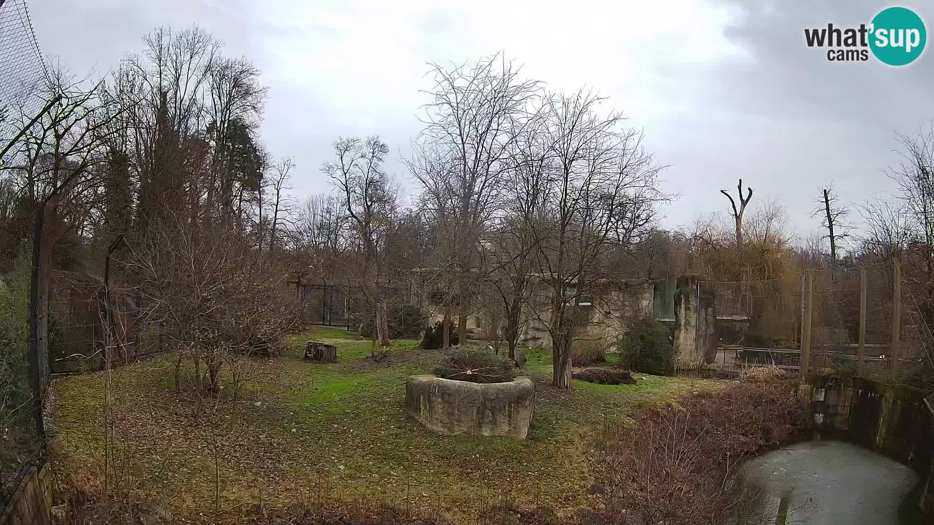 Zoo Zagreb – Löwen