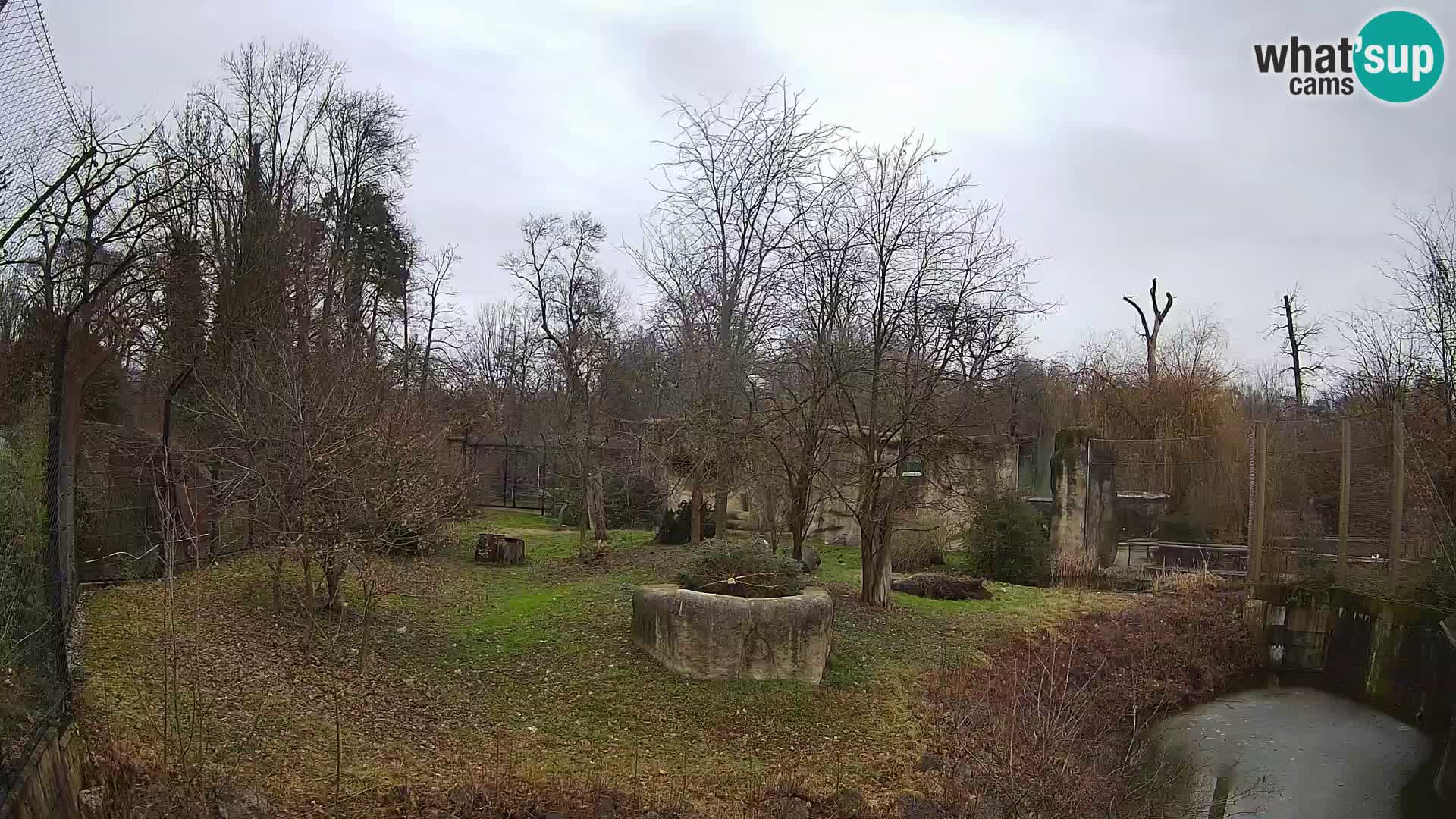 Zoo Zagreb – Löwen