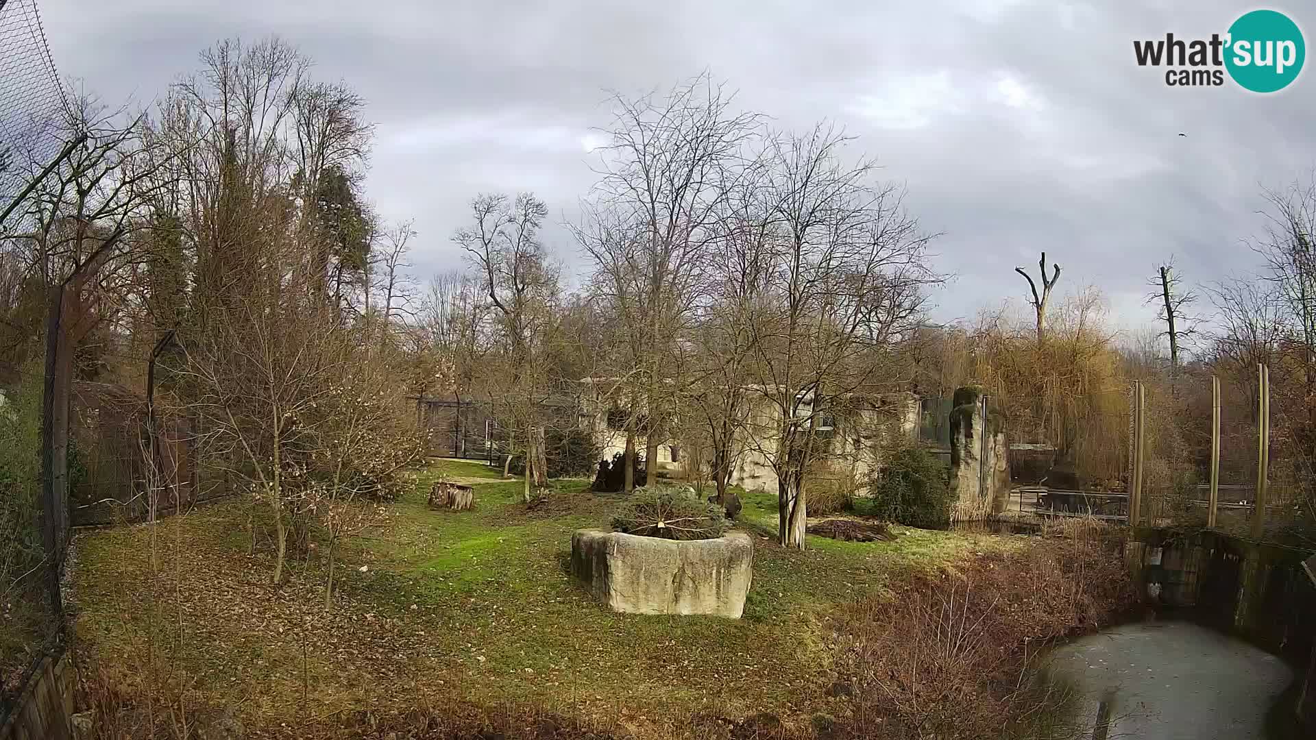 Spletna kamera Zoo Zagreb – Levi