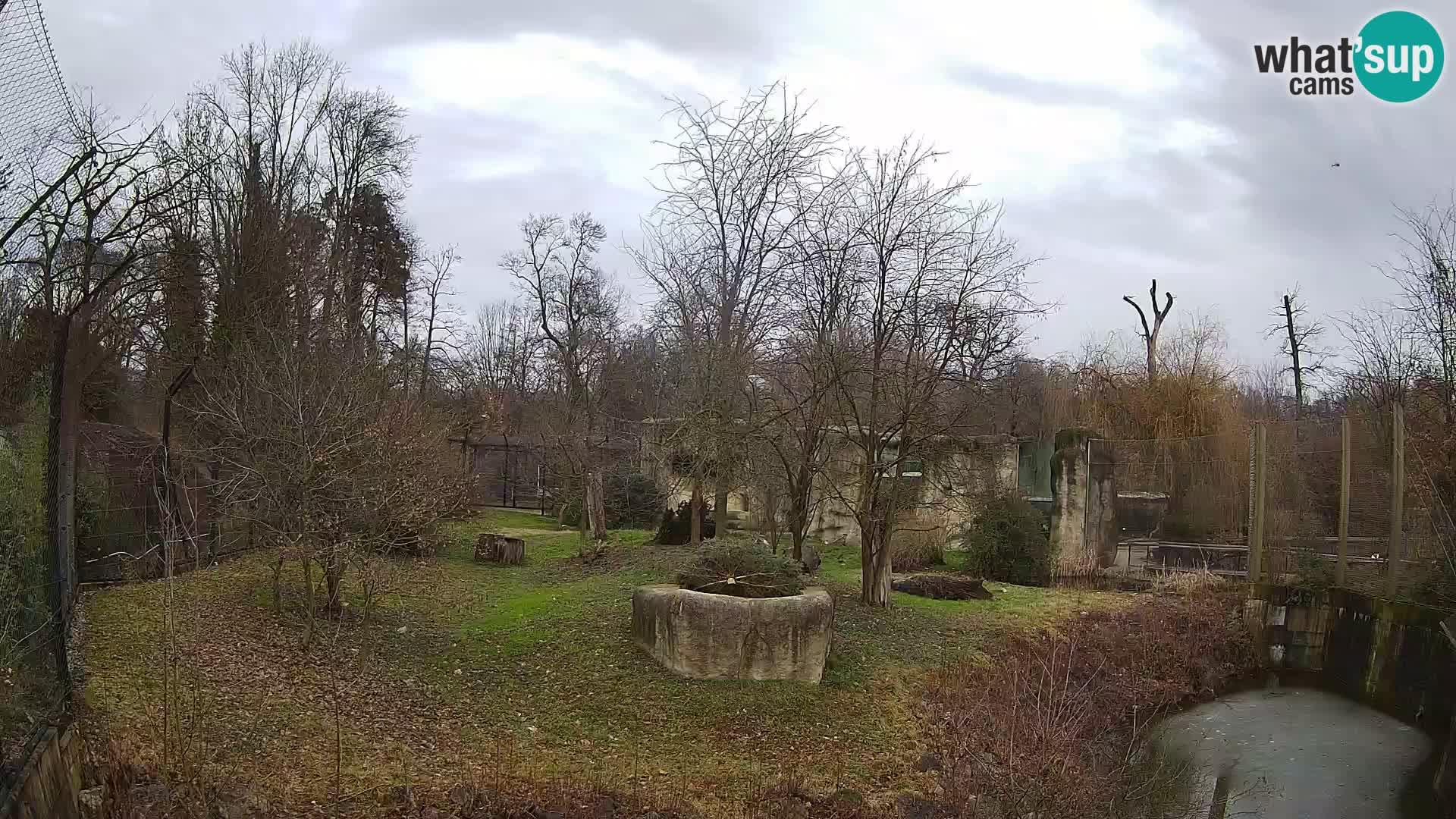 Zoo Zagreb – Löwen