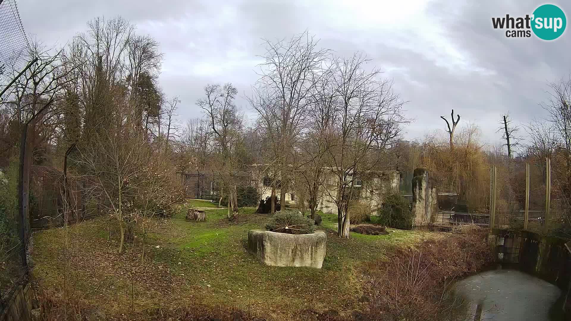 Zoo Zagreb – Löwen