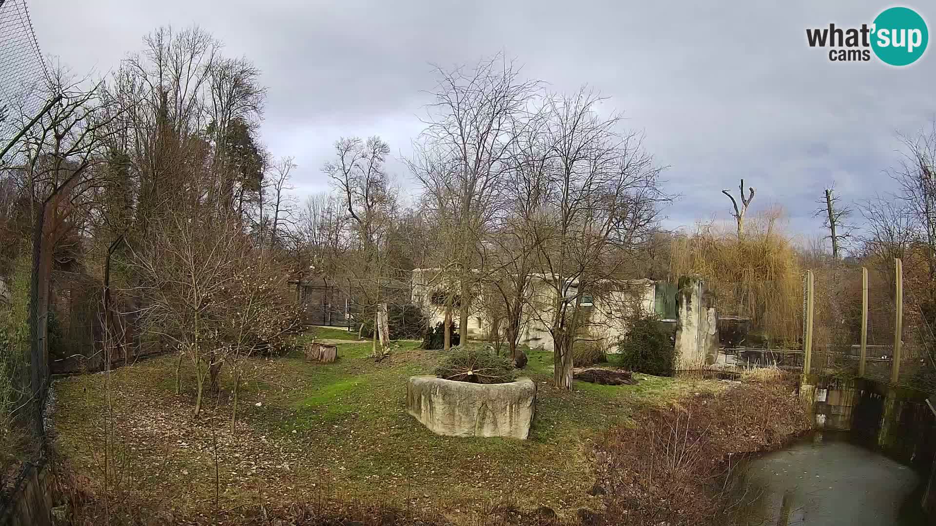 Spletna kamera Zoo Zagreb – Levi