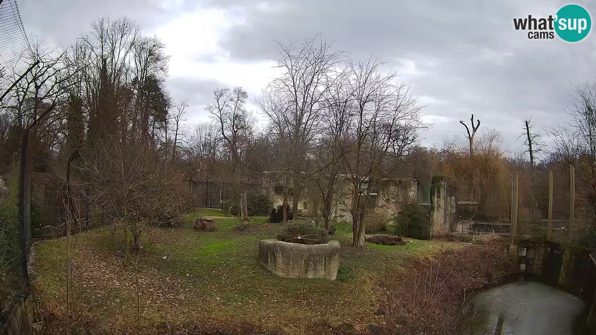 Spletna kamera Zoo Zagreb – Levi