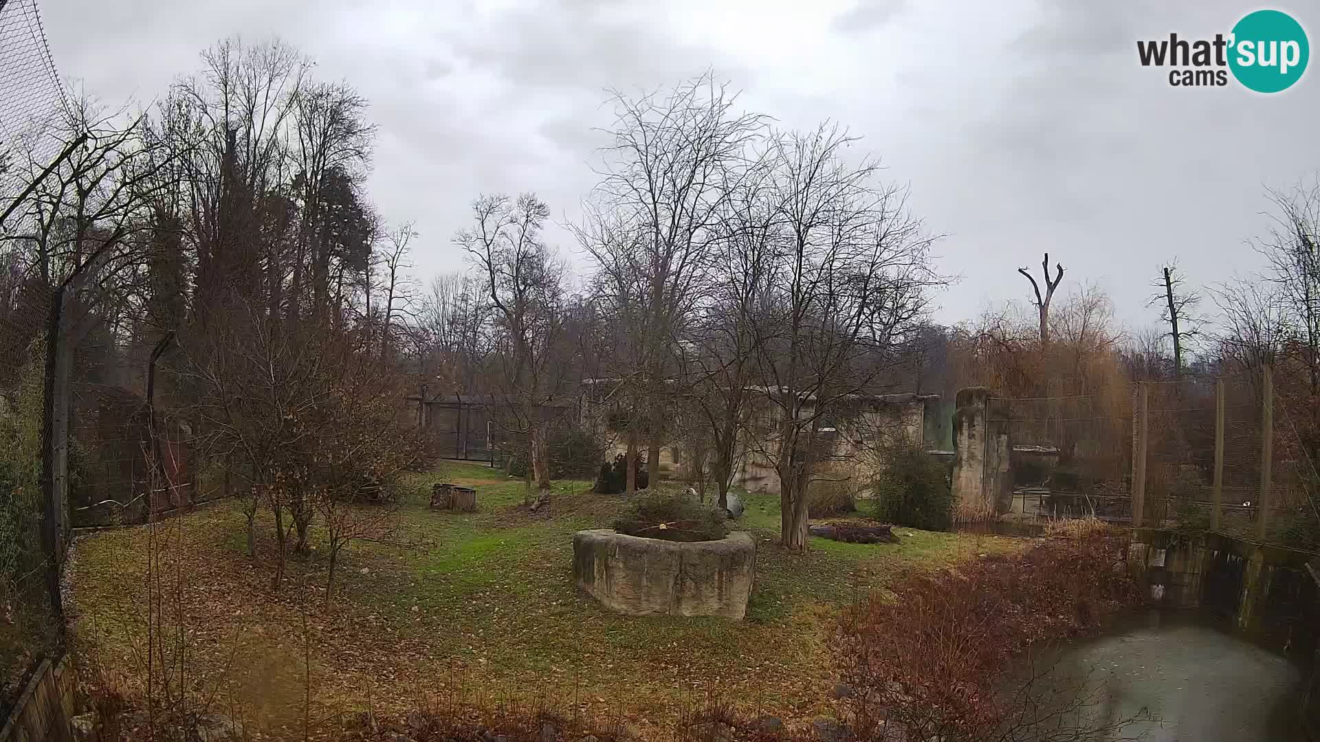 Zoo Zagreb – Löwen