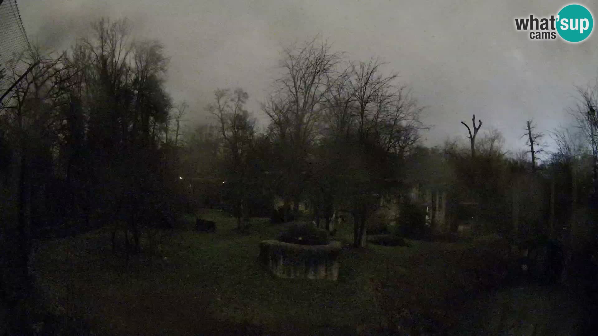 Zoo Zagreb – Leones