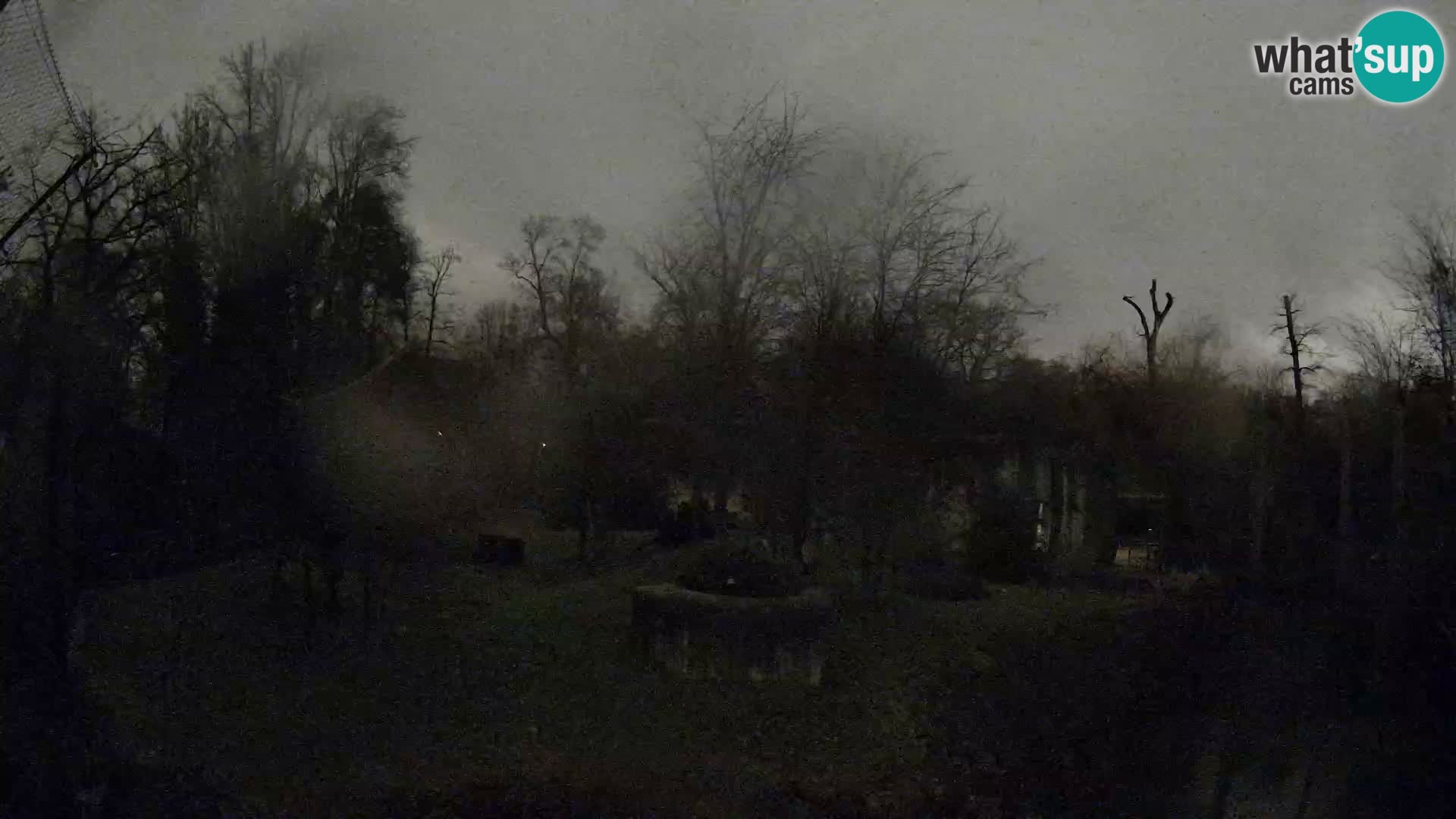 Zoo Zagreb – Lavovi