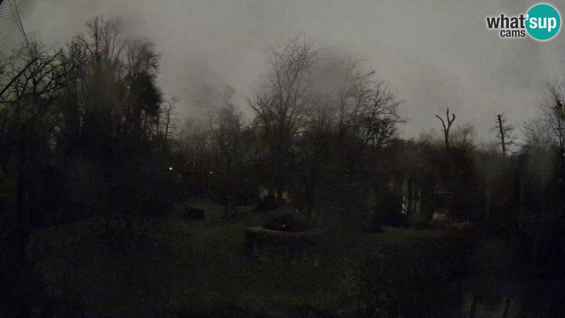 Zoo Zagreb – Löwen