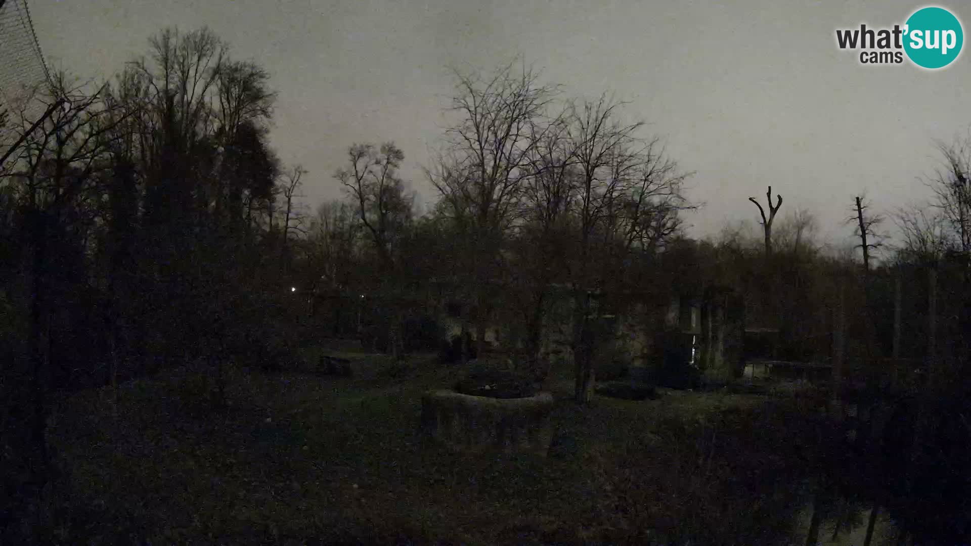 Zoo Zagreb – Löwen