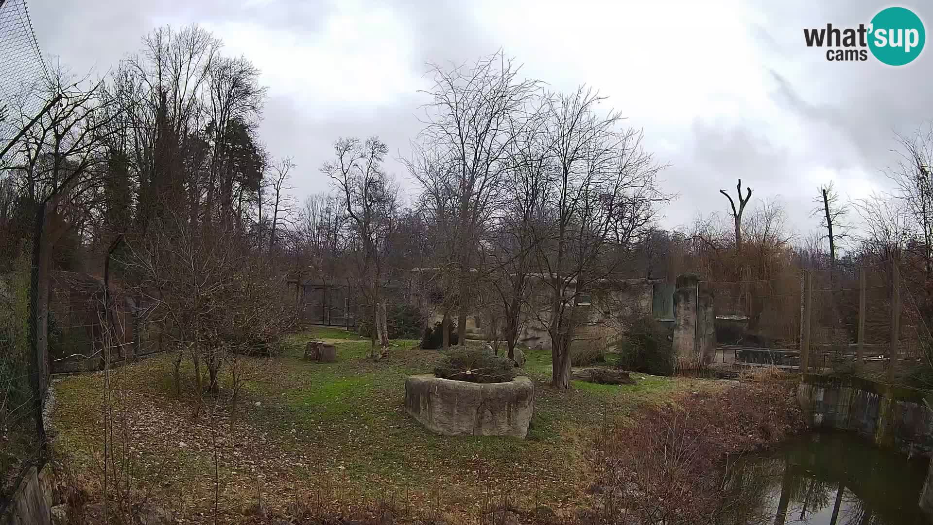 Zoo Zagreb – Leoni