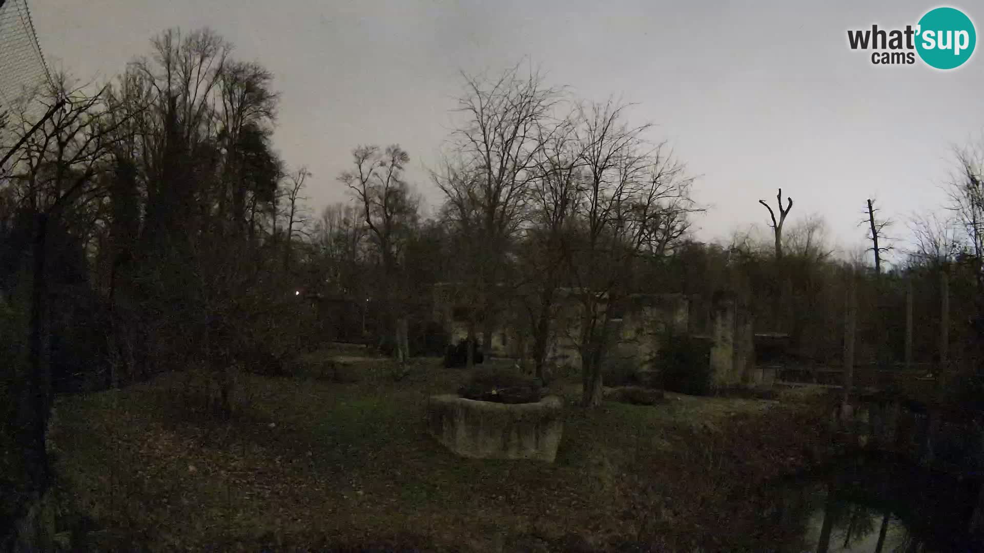 Zoo Zagreb – Leoni