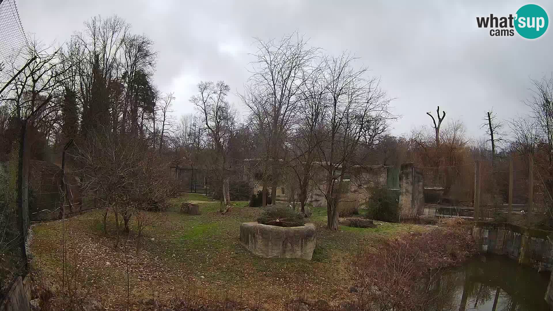 Zoo Zagreb – Leoni