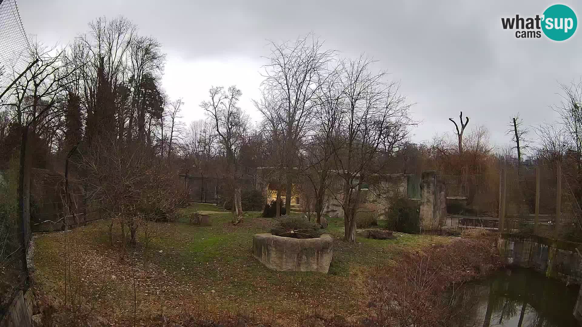 Zoo Zagreb – Leoni