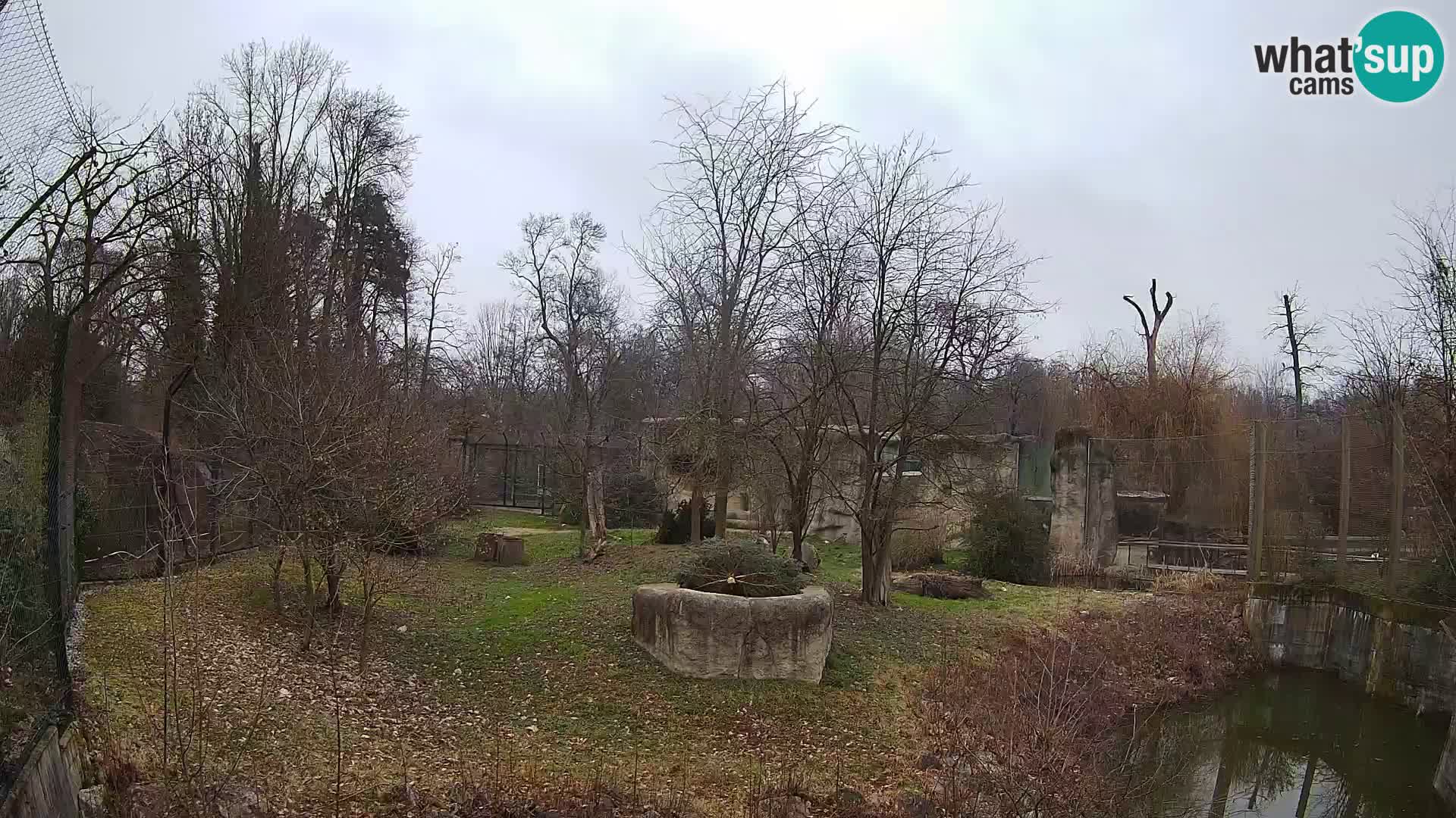 Zoo Zagreb – Löwen