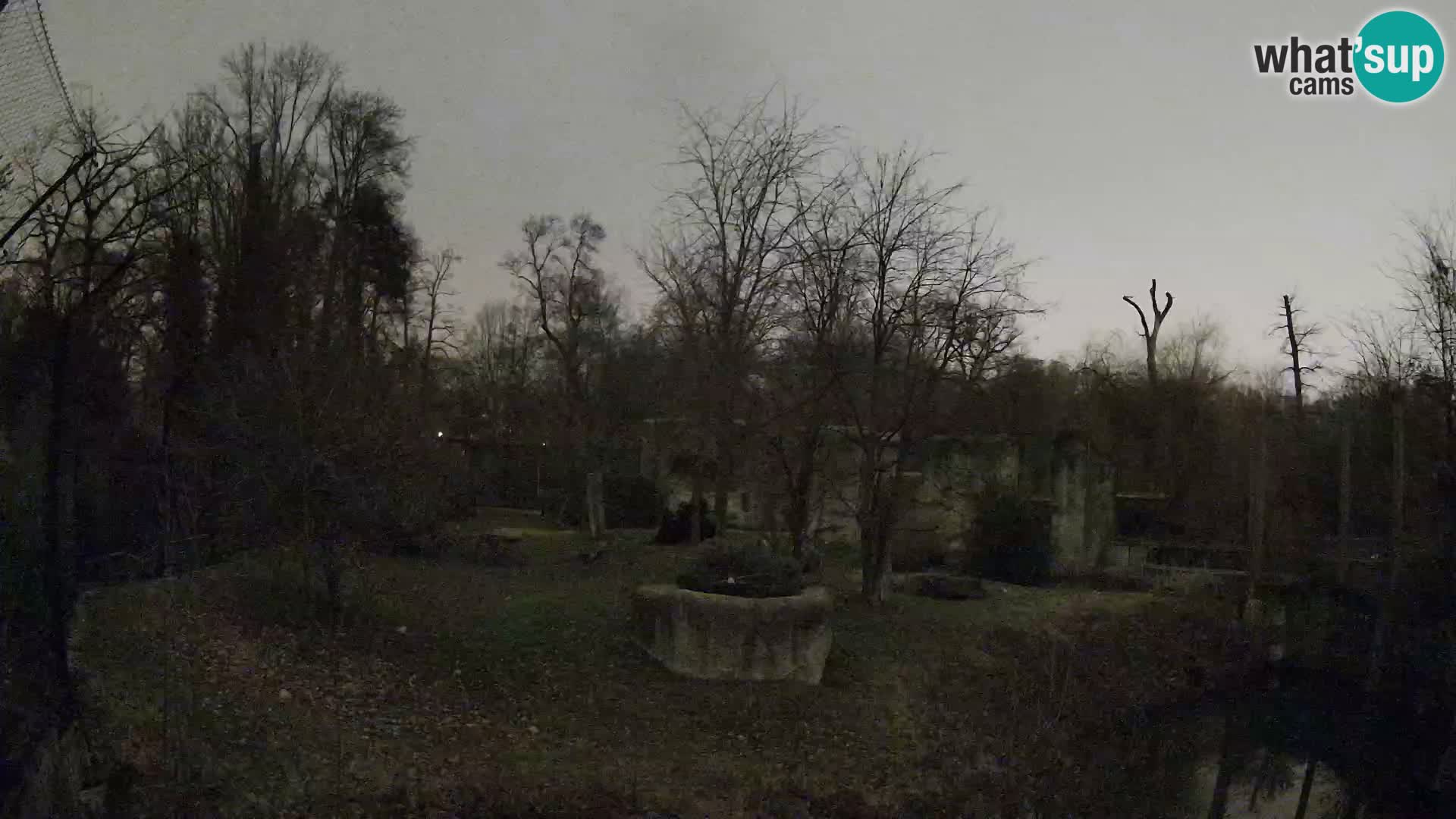 Zoo Zagreb – Lavovi