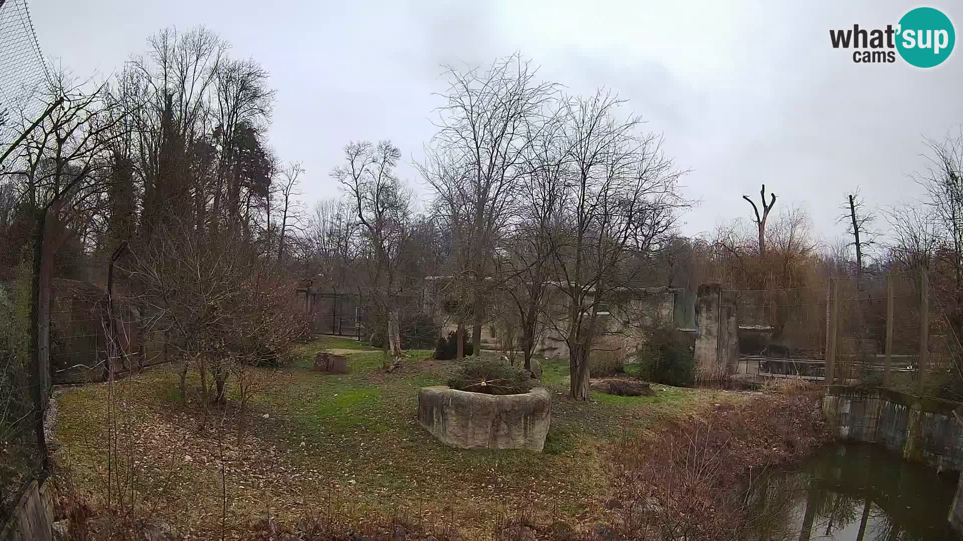 Zoo Zagreb – Leones