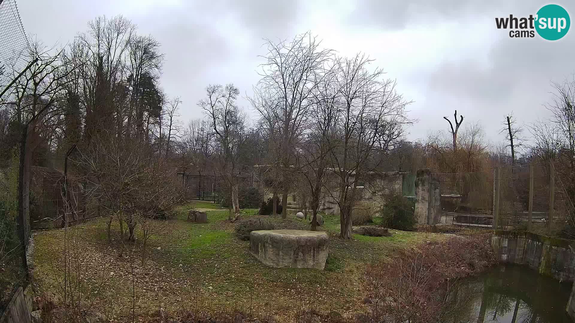 Zoo Zagreb – Löwen