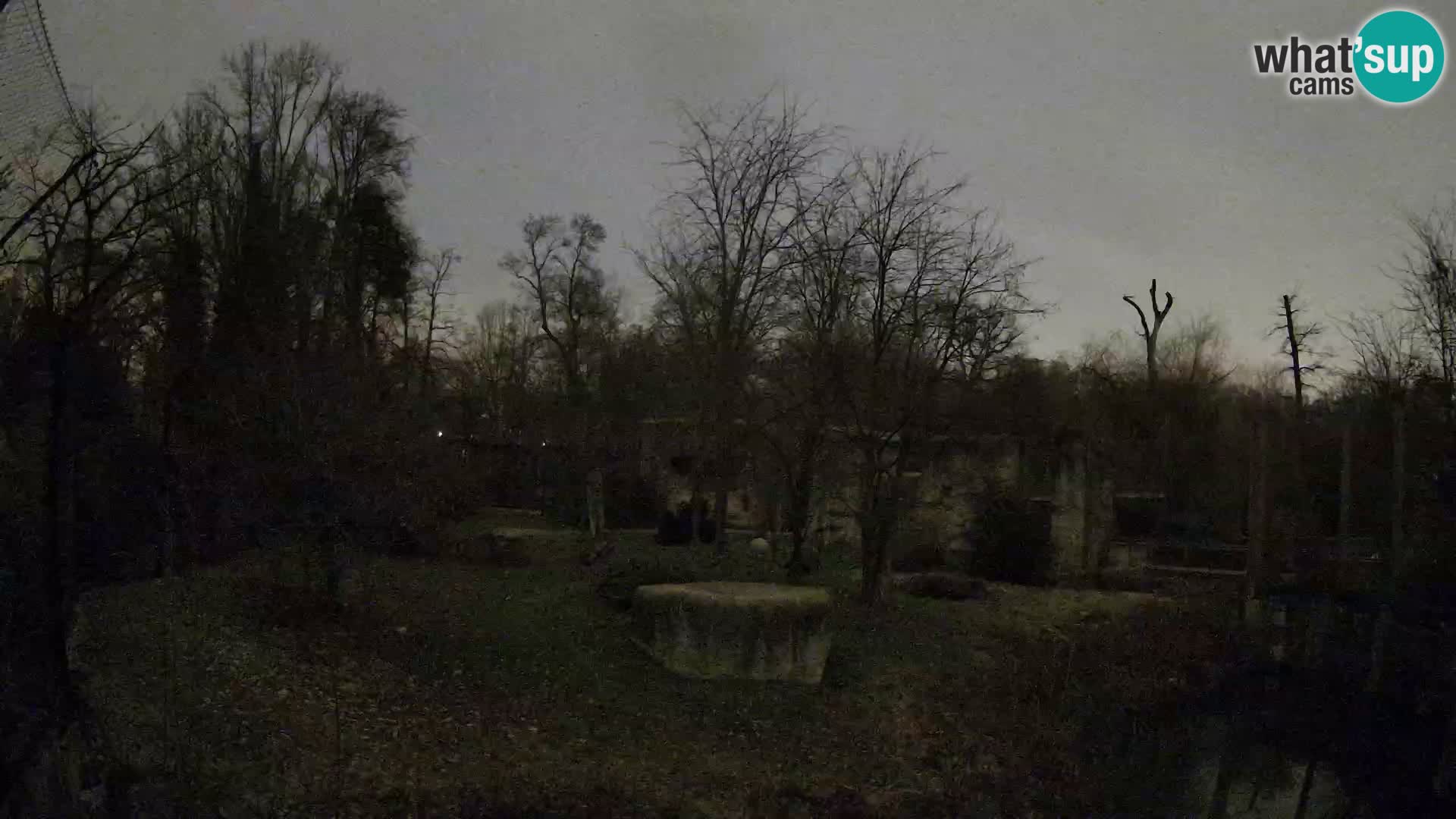 Zoo Zagreb – Leones