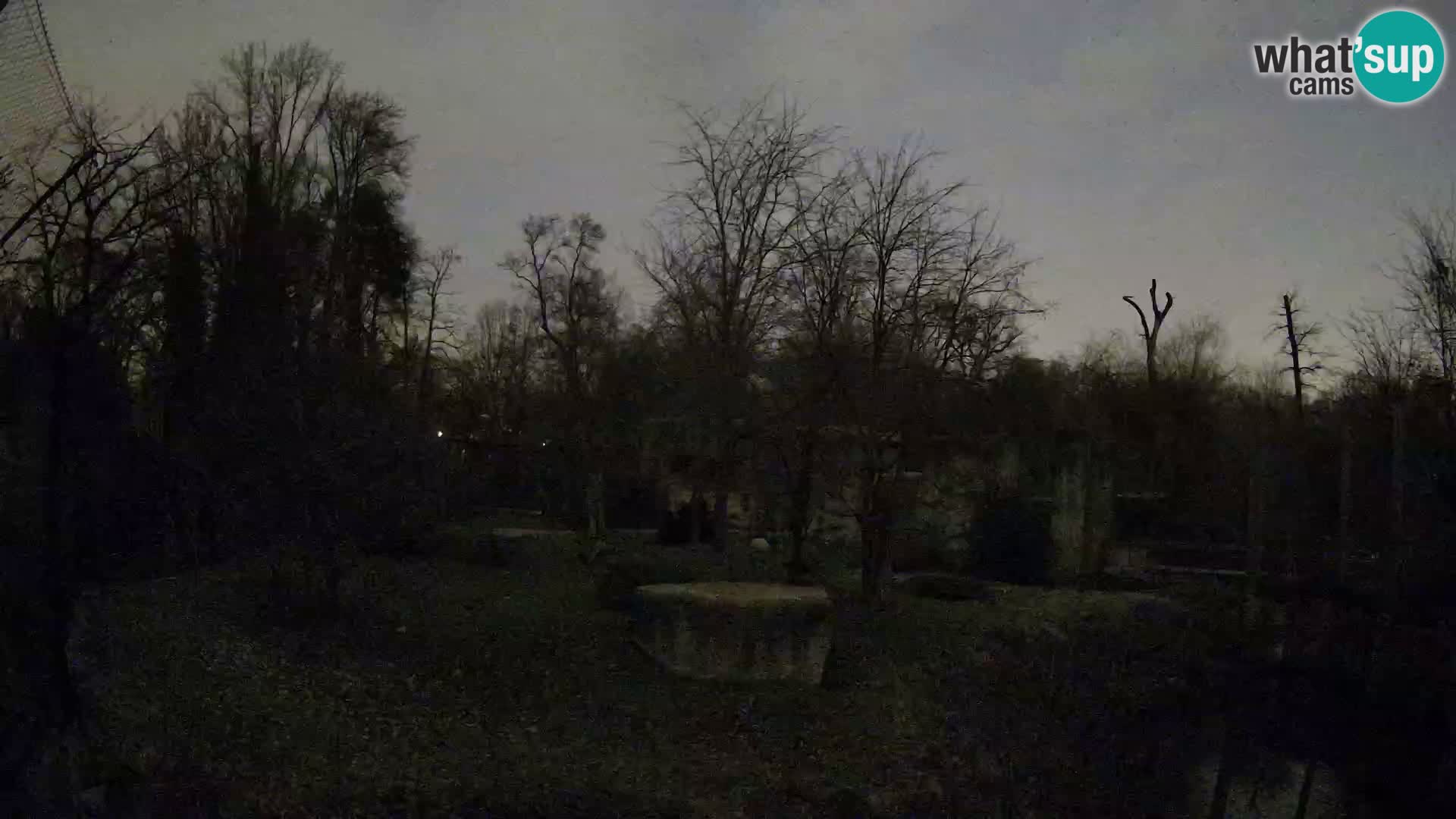 Zoo Zagreb – Leoni