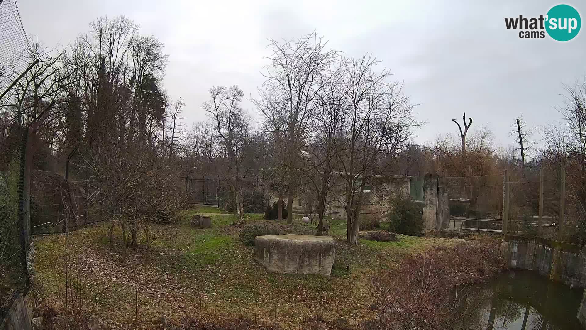 Zoo Zagreb – Löwen