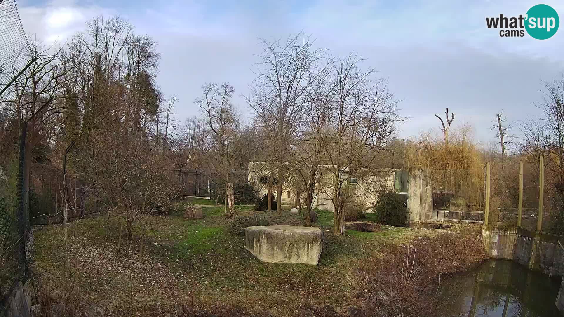 Zoo Zagreb – Lavovi