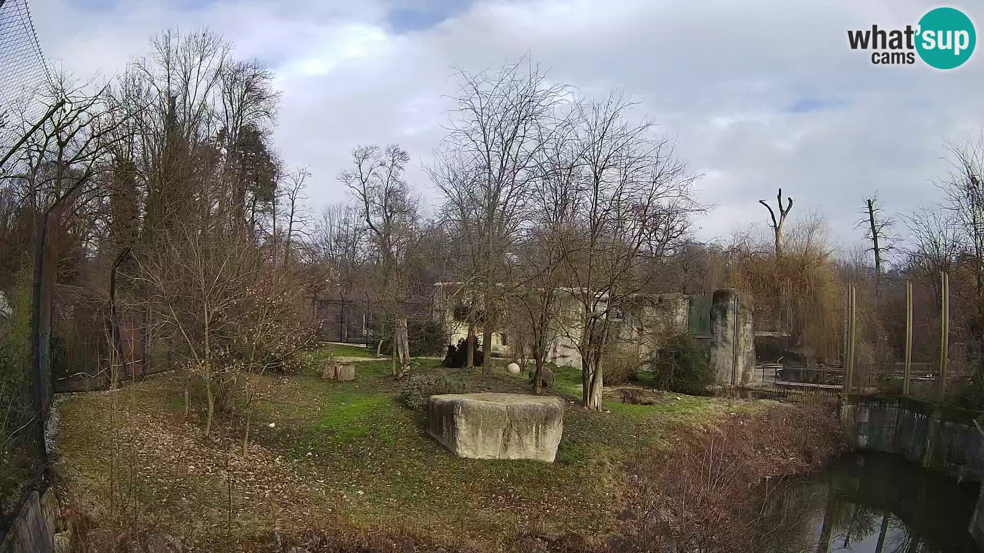 Zoo Zagreb – Lavovi