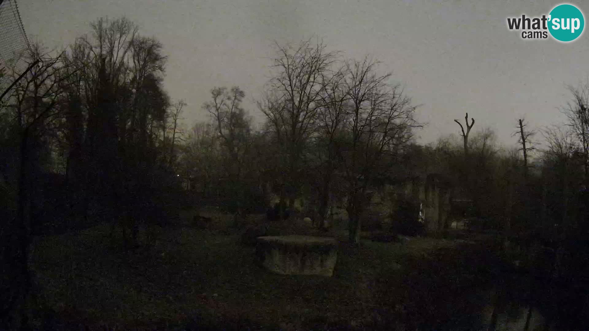 Zoo Zagreb – Löwen