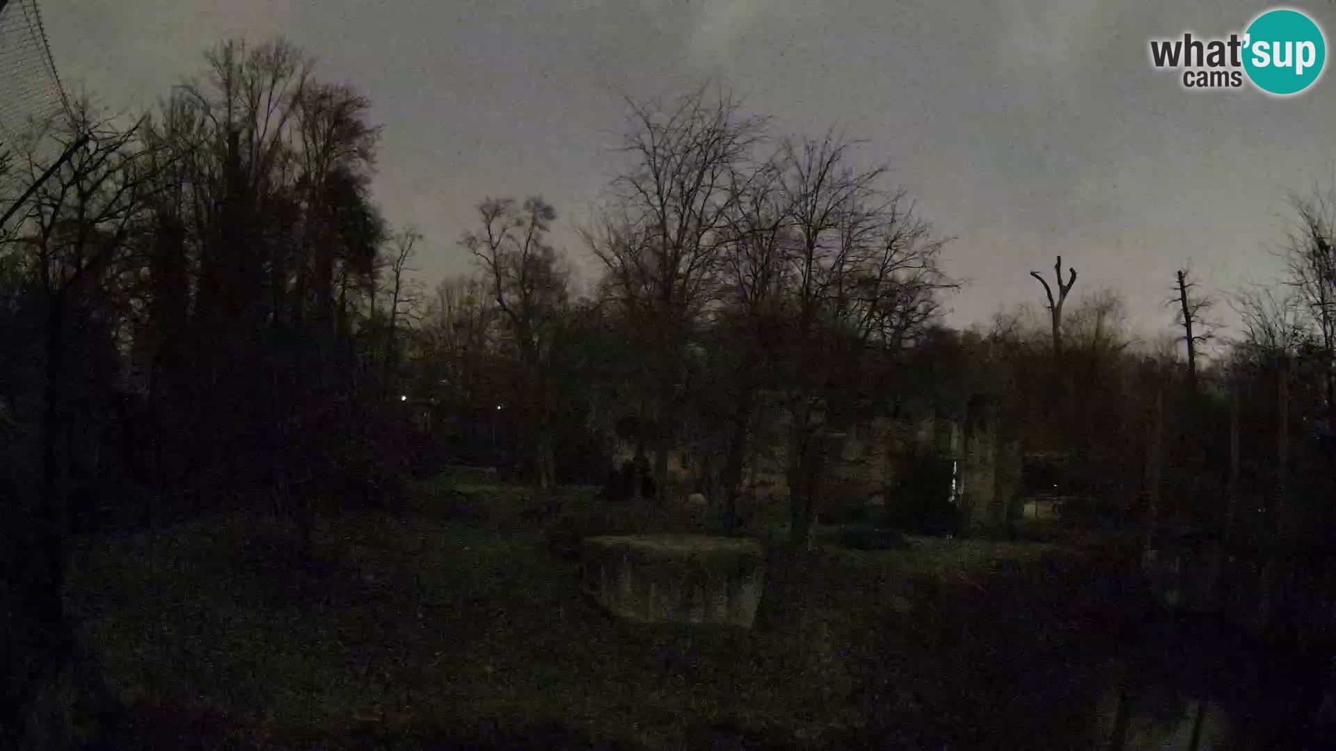 Zoo Zagreb – Leones