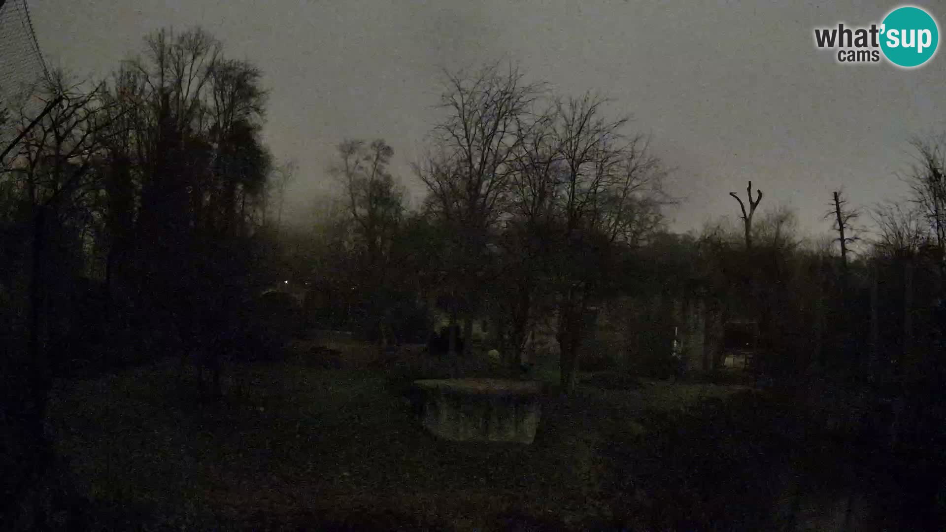 Zoo Zagreb – Leoni